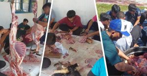 Pelaksanaan Qurban 1447 H / 2026 M di Pondok Pesantren Islam Ulul Albab Lampung